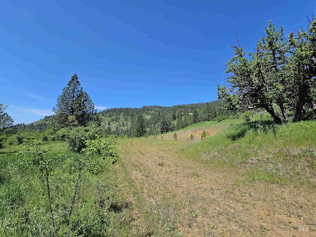 Listing photo 3 for TBD Adams Rd, Parcel D, Orofino ID 83544