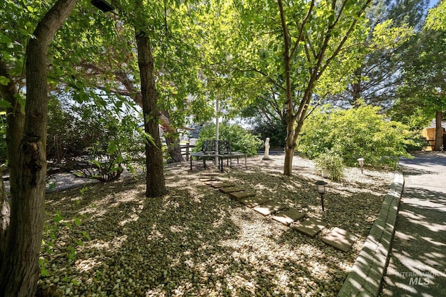 2800 Taylor Ct, Nampa, ID 83686 - view of yard