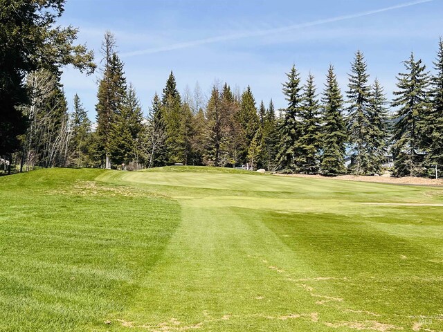 1408 Mountain Meadow Dr, Mccall, ID 83638