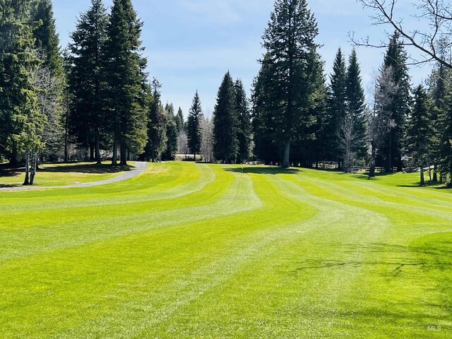 1408 Mountain Meadow Dr, Mccall, ID 83638