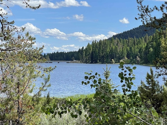 property view of water with a view of trees