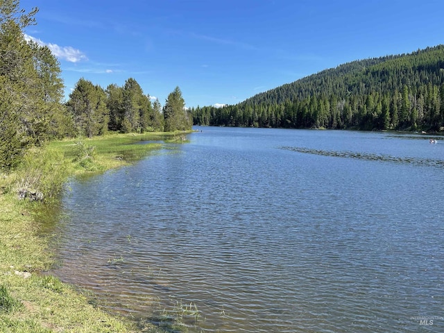 property view of water featuring a forest view