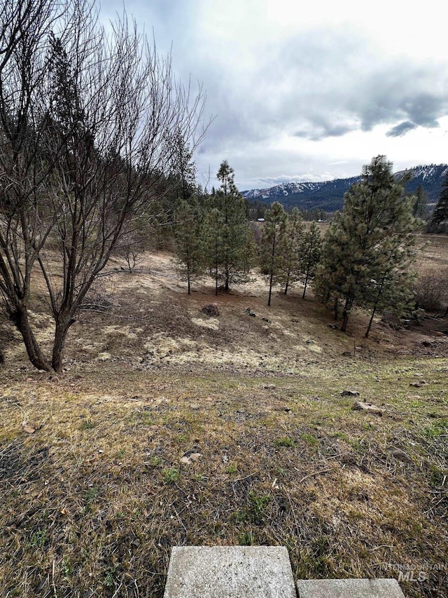 view of local wilderness with a rural view