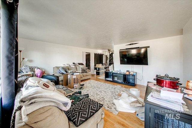 living room featuring wood finished floors