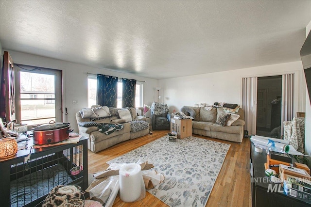 living room featuring a wealth of natural light, a textured ceiling, and wood finished floors