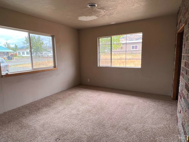 carpeted spare room featuring a textured ceiling