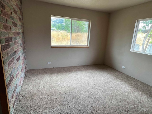 spare room featuring plenty of natural light and carpet