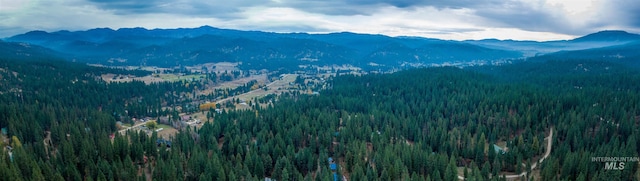 view of mountain feature featuring a wooded view