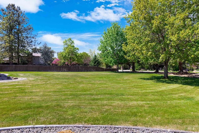 view of yard