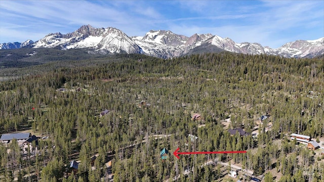 95 Valley Way, Stanley, ID 83278 - view of mountain background with a heavily wooded area