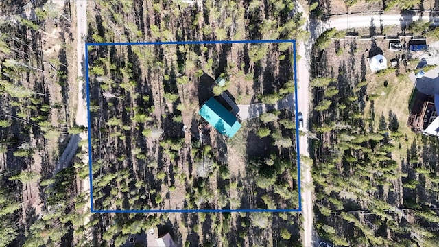 95 Valley Way, Stanley, ID 83278 - aerial view of property's location with property boundaries highlighted