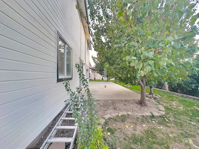 view of yard featuring a patio area