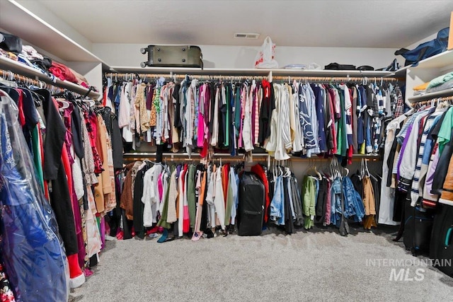 walk in closet featuring visible vents and carpet