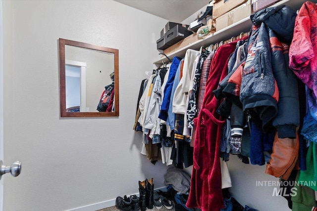 view of walk in closet
