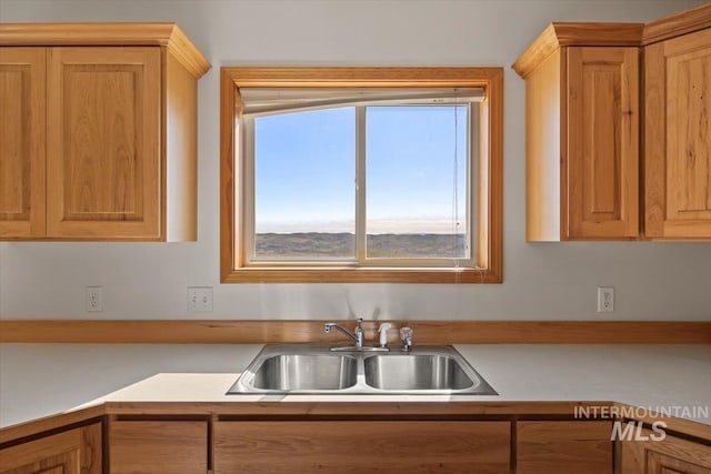 kitchen featuring a sink and light countertops