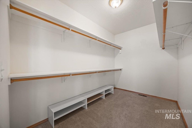 spacious closet with carpet flooring
