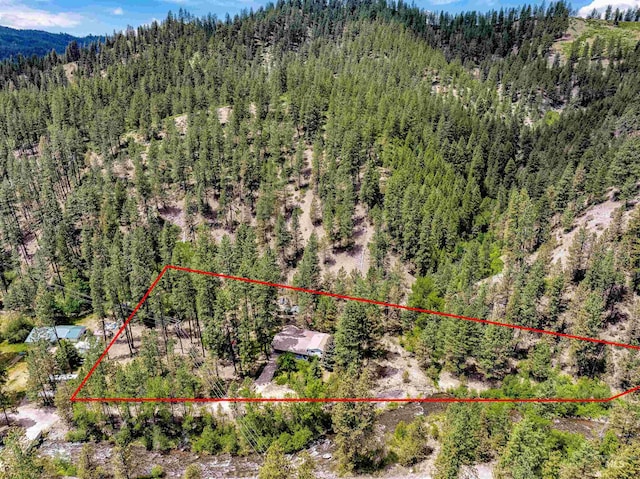 14 Cougar Ln, Boise, ID 83716 - aerial overview of property's location featuring a forest, property parcel outlined, and a mountain backdrop