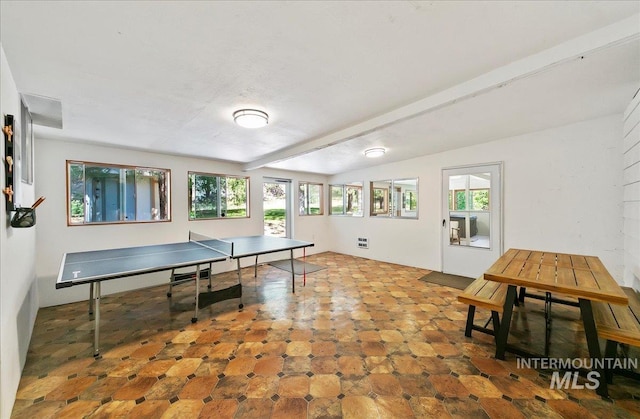14 Cougar Ln, Boise, ID 83716 - rec room featuring healthy amount of natural light and lofted ceiling