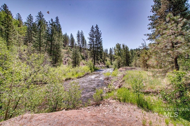 14 Cougar Ln, Boise, ID 83716 - view of wooded area