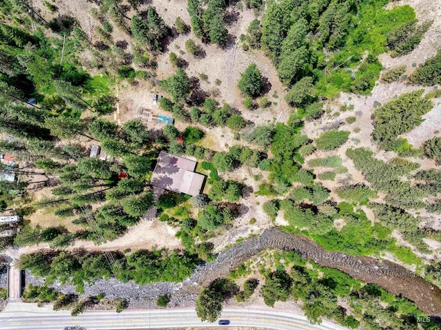 14 Cougar Ln, Boise, ID 83716 - drone / aerial view