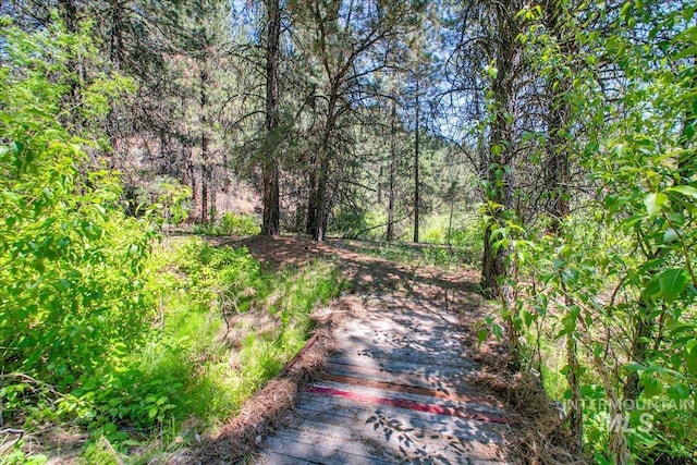 14 Cougar Ln, Boise, ID 83716 - view of road with a view of trees