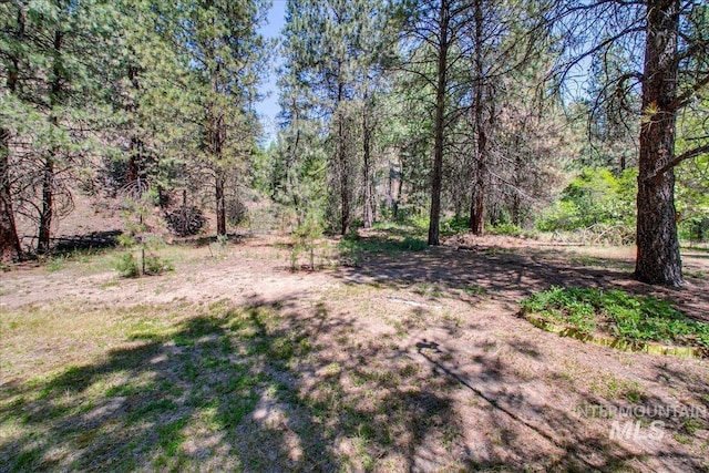 14 Cougar Ln, Boise, ID 83716 - view of yard with a forest view