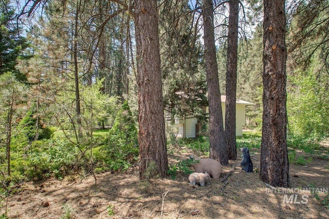 14 Cougar Ln, Boise, ID 83716 - view of local wilderness