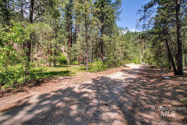 14 Cougar Ln, Boise, ID 83716 - view of street with a forest view