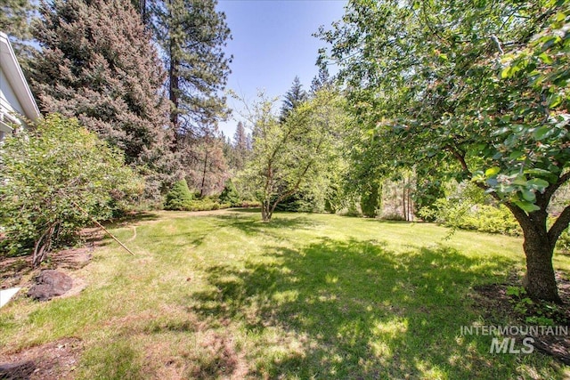 14 Cougar Ln, Boise, ID 83716 - view of grassy yard