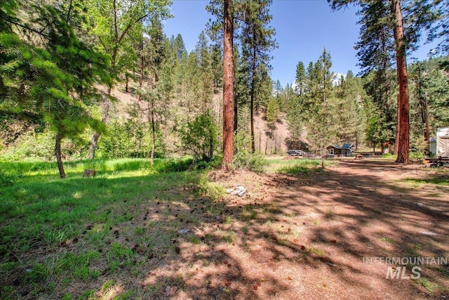 14 Cougar Ln, Boise, ID 83716 - view of yard