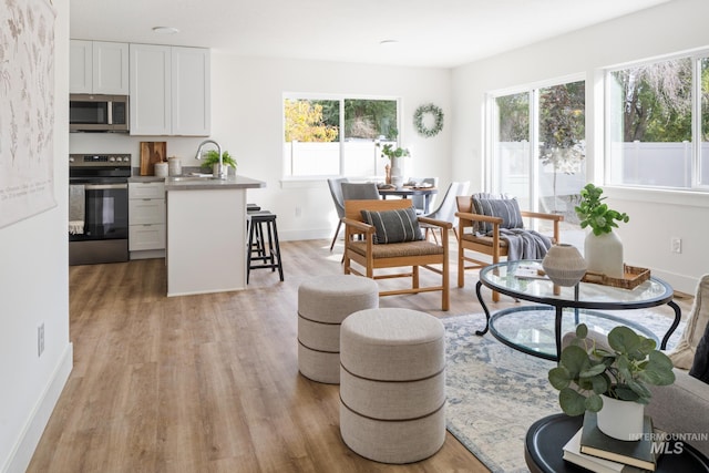 living area with baseboards and light wood finished floors