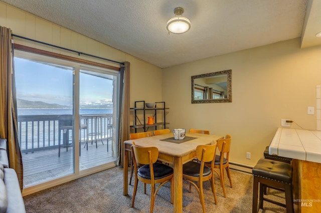 dining space featuring a textured ceiling, carpet, and a baseboard radiator