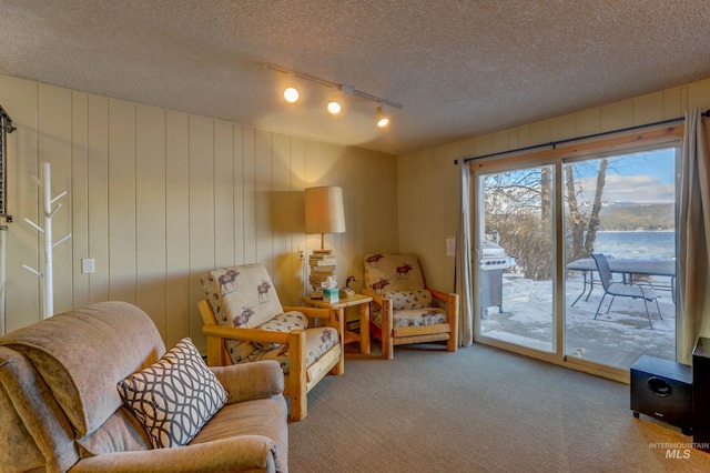 living area featuring track lighting, a textured ceiling, and light colored carpet