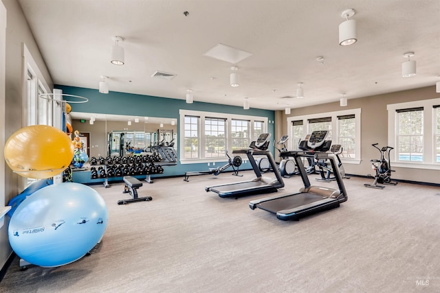 exercise room featuring carpet floors