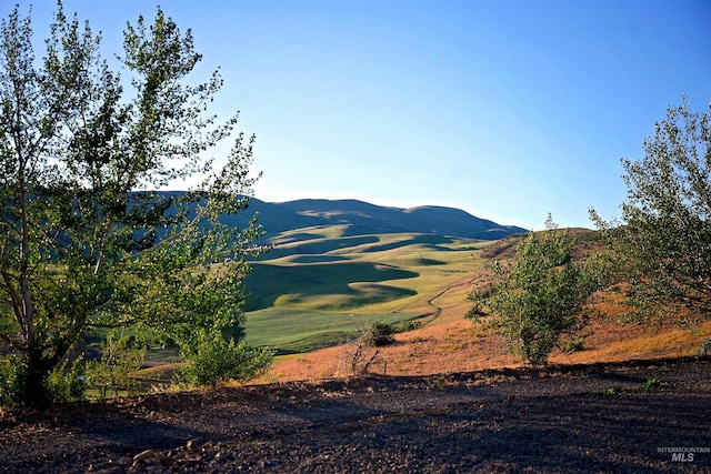 1190 Devils Elbow Rd, Weiser, ID 83672 - view of mountain backdrop with a local golf course
