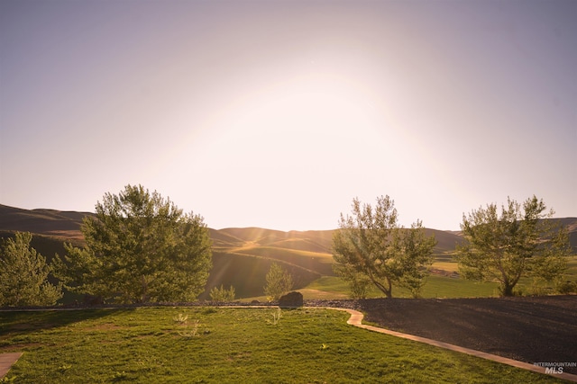 1190 Devils Elbow Rd, Weiser, ID 83672 - view of green lawn with a mountain view
