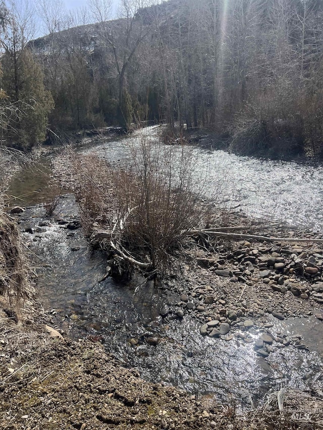 58438 Mansford Ave, Murphy Hot Springs, ID 83302 - view of water feature featuring a view of trees