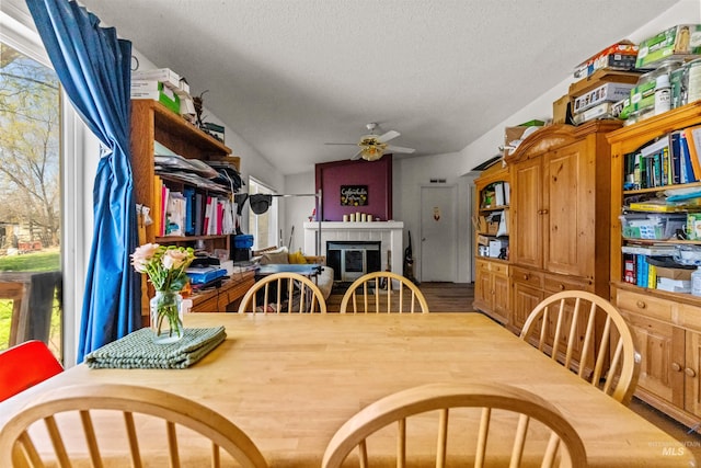 dining room featuring a healthy amount of sunlight, a fireplace, hardwood / wood-style floors, and ceiling fan
