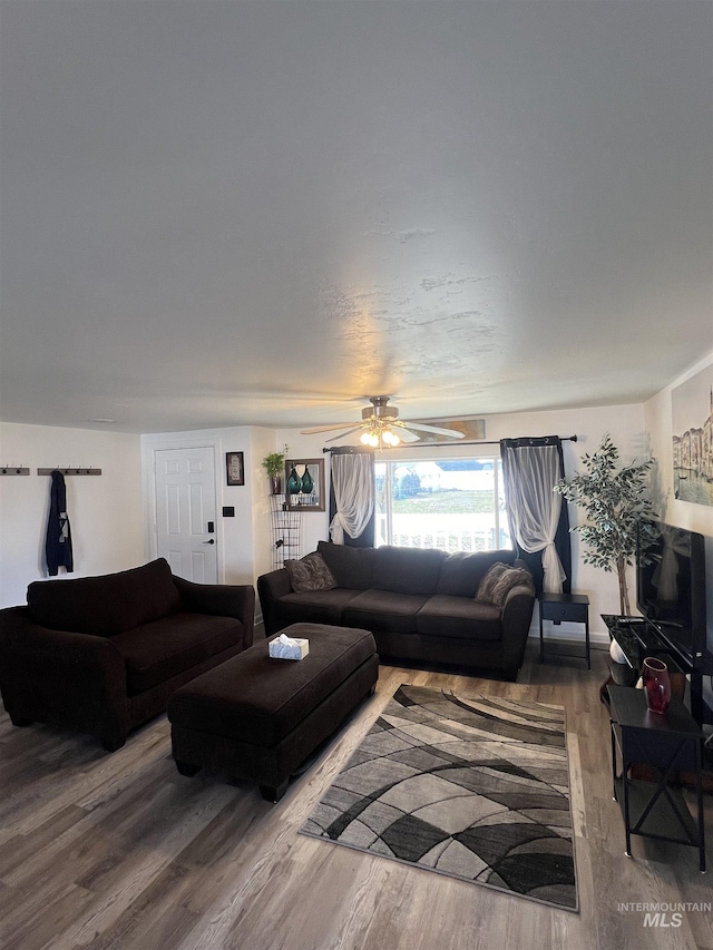 living room with a ceiling fan and wood finished floors