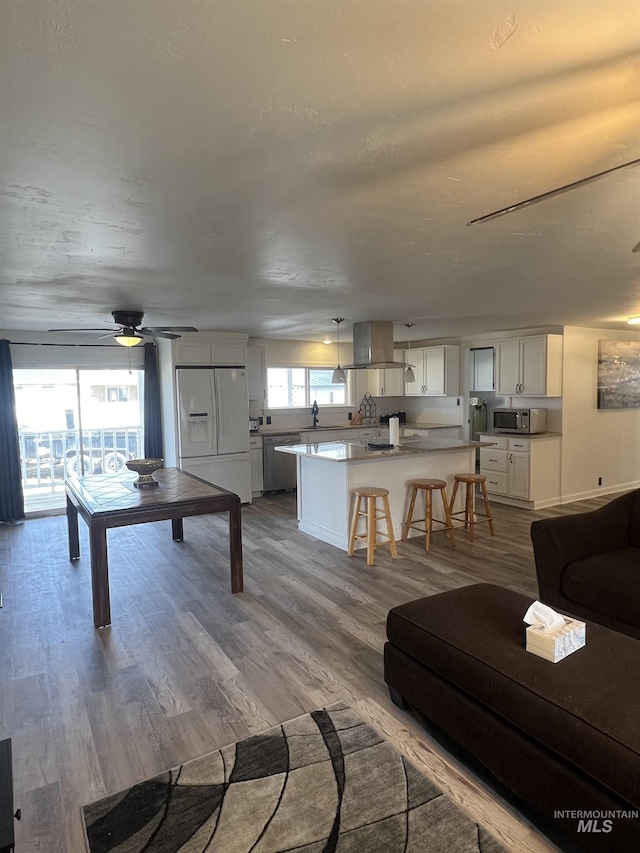 living area featuring a ceiling fan and wood finished floors