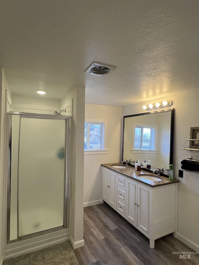 full bath with plenty of natural light, a sink, visible vents, and a shower stall