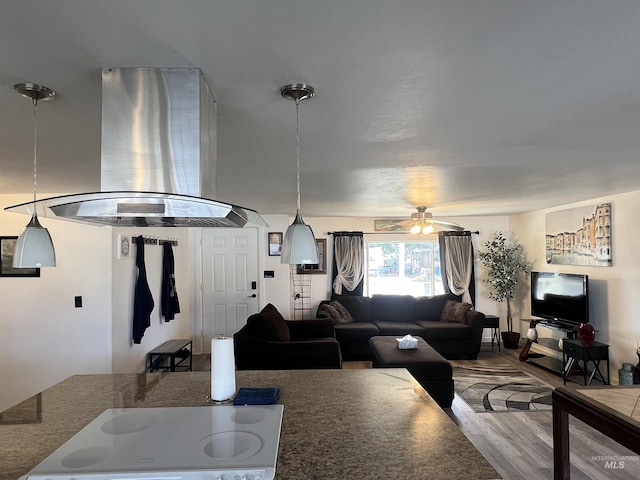 living area with a ceiling fan and wood finished floors