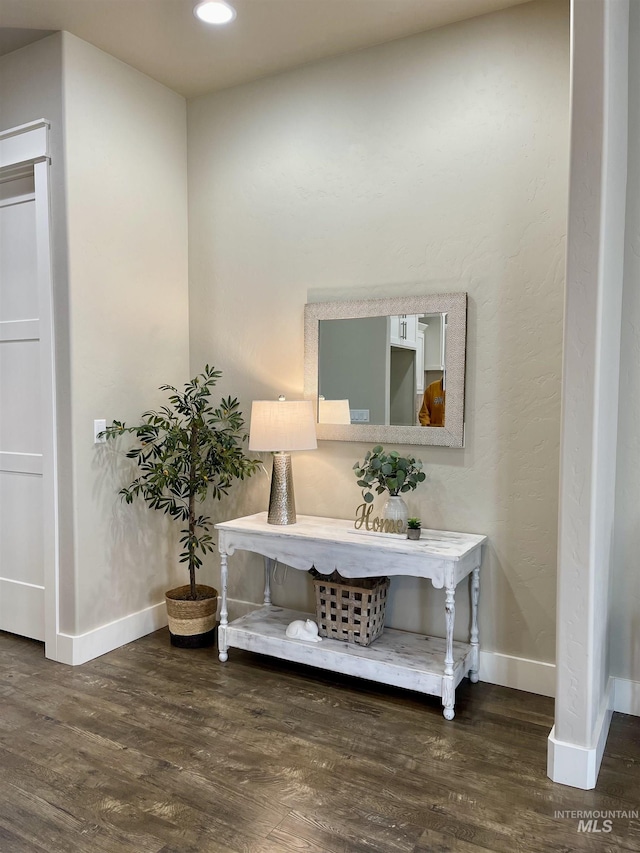 room details with hardwood / wood-style flooring