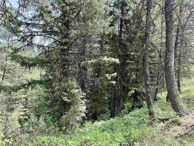 53 Landale Ln, Cascade, ID 83711