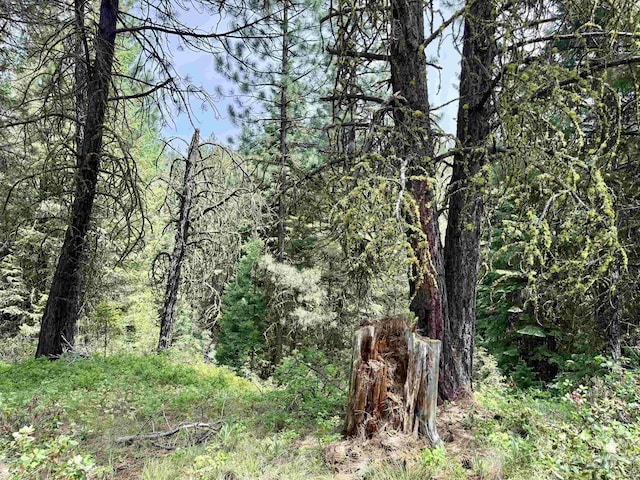 53 Landale Ln, Cascade, ID 83711
