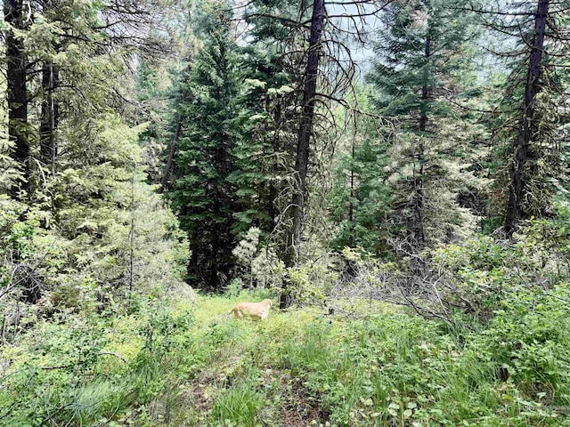 53 Landale Ln, Cascade, ID 83711