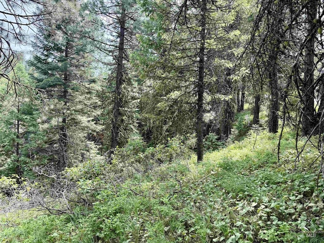 53 Landale Ln, Cascade, ID 83711