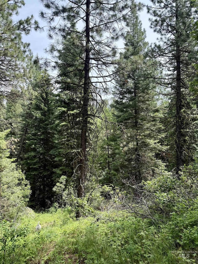 53 Landale Ln, Cascade, ID 83711