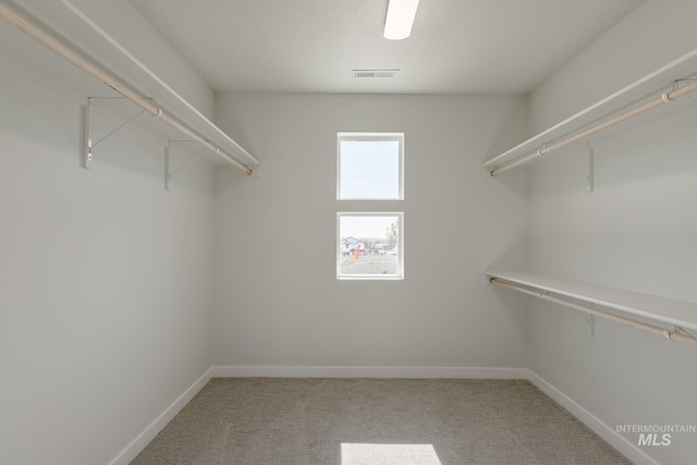 spacious closet with carpet flooring