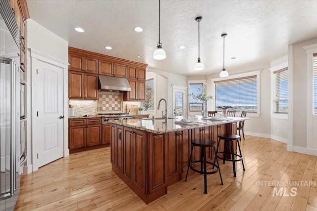 25374 W Deep Canyon Dr, Star, ID 83644 - kitchen with under cabinet range hood, a sink, light wood-style flooring, baseboards, and recessed lighting